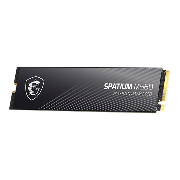 اس اس دی اینترنال PCIe Gen5 x4 ام اس آی مدل MSI SPATIUM M560 ظرفیت 2 ترابایت