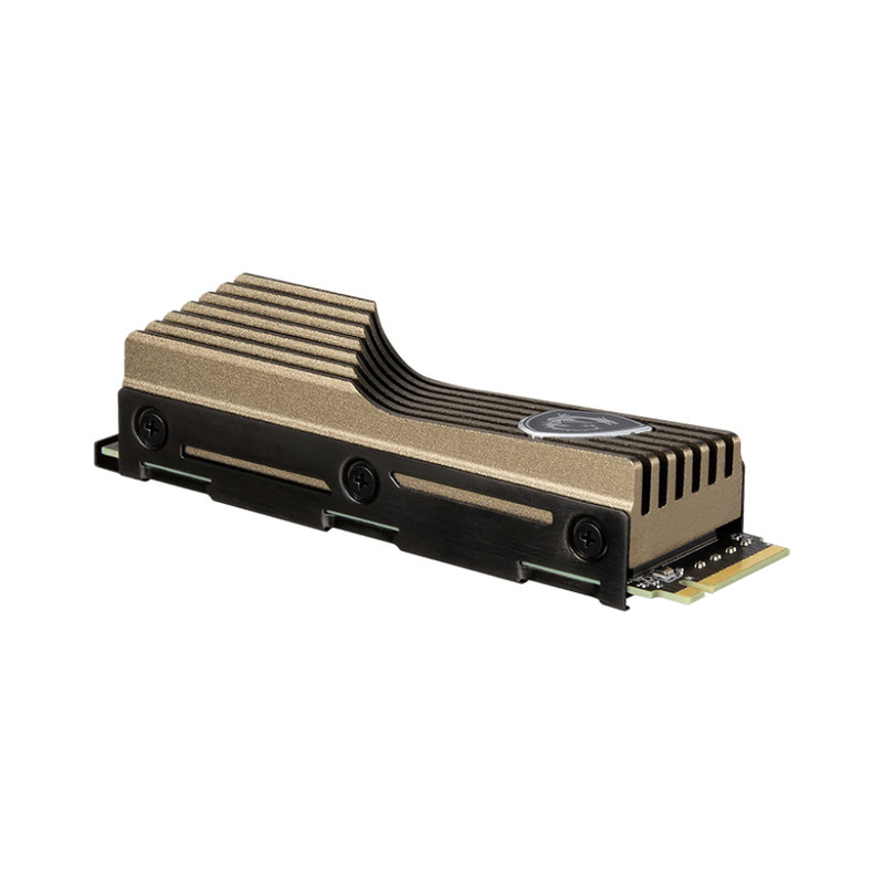 اس اس دی اینترنال ام اس آی مدل SPATIUM M570 NVMe M.2 HS ظرفیت 2 ترابایت