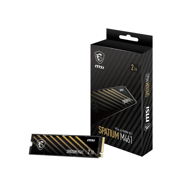 اس اس دی اینترنال PCIe Gen4 x4 ام اس آی مدل M461 ظرفیت 2 ترابایت